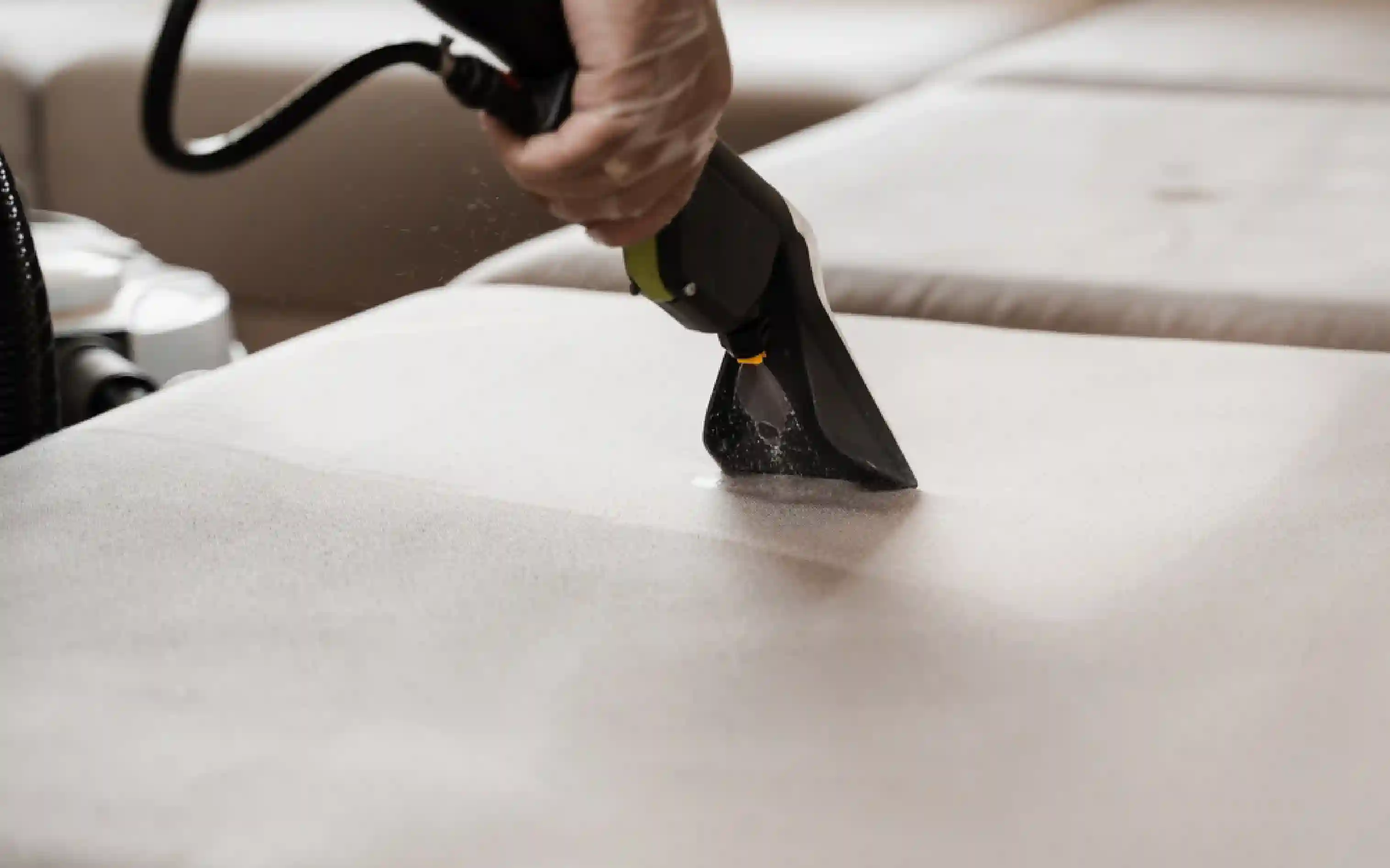 carpet cleaning, carpet cleaners, cleaning services, cleaning services in Nassau, cleaning services in Nassau, carpet cleaning in Nassau, carpet cleaning in Nassau, carpet cleaning Nassau, carpet cleaners in Nassau, carpet cleaners in Nassau, carpet cleaning services, Nassau carpet cleaning, Nassau carpet cleaning, Nassau carpet cleaners, Nassau carpet cleaning services, rug cleaning, rug cleaners, Nassau rug cleaning, Nassau rug cleaners, rug cleaning in Nassau